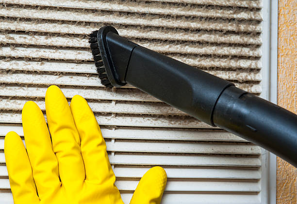 Best Affordable Duct Cleaning Services  in USA